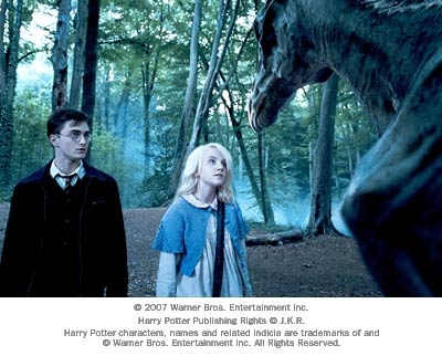 harry-potter-9[1].jpg