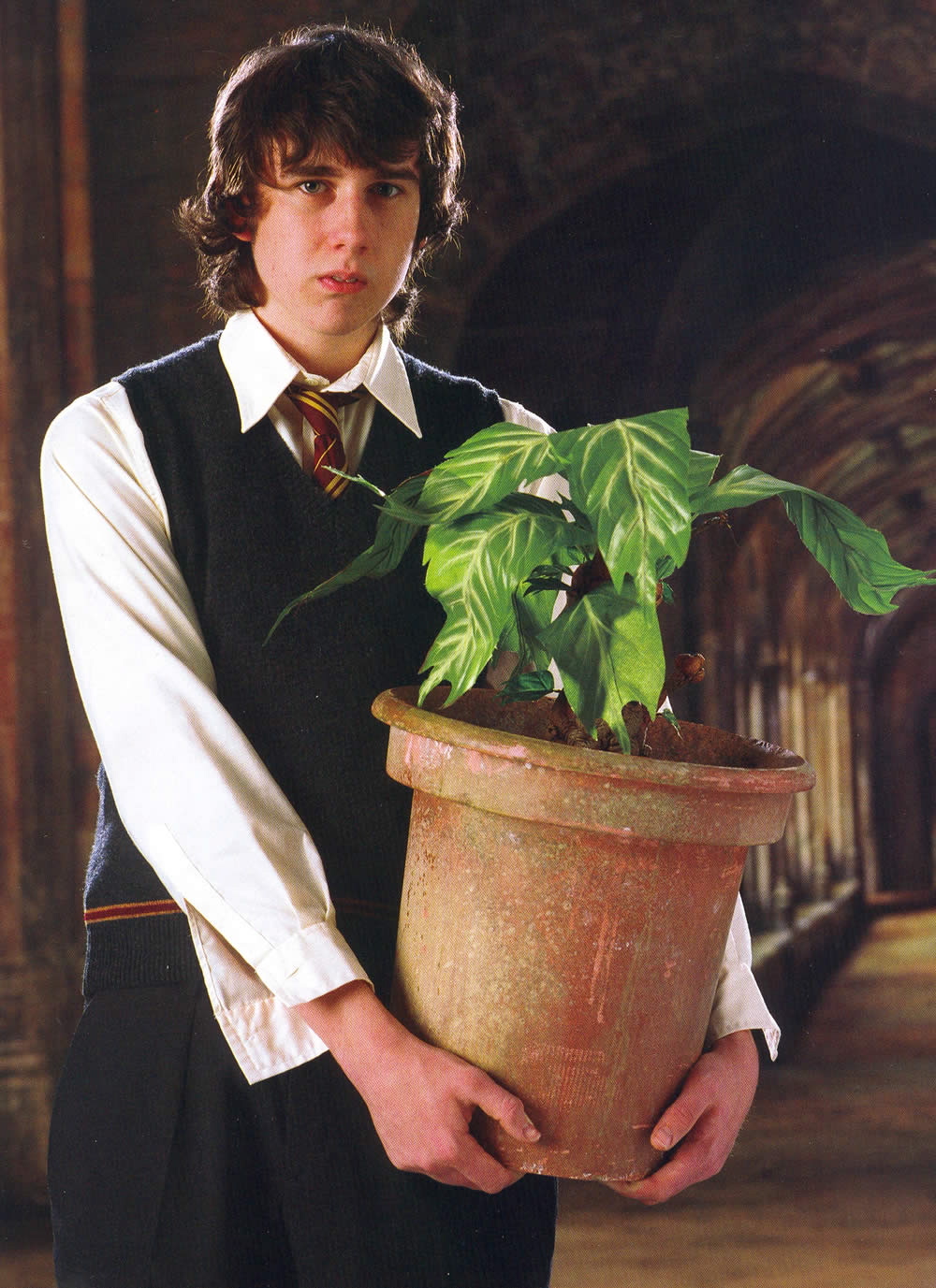 neville[1].jpg