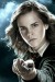 hermione-granger-wand[1].jpg
