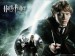 Ron-Weasley-harry-potter-453979_800_600[1].jpg